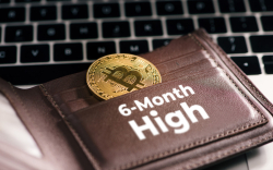 Number of Bitcoin Wallets with 100+ BTC Hits 6-Month High: Analytics Report
